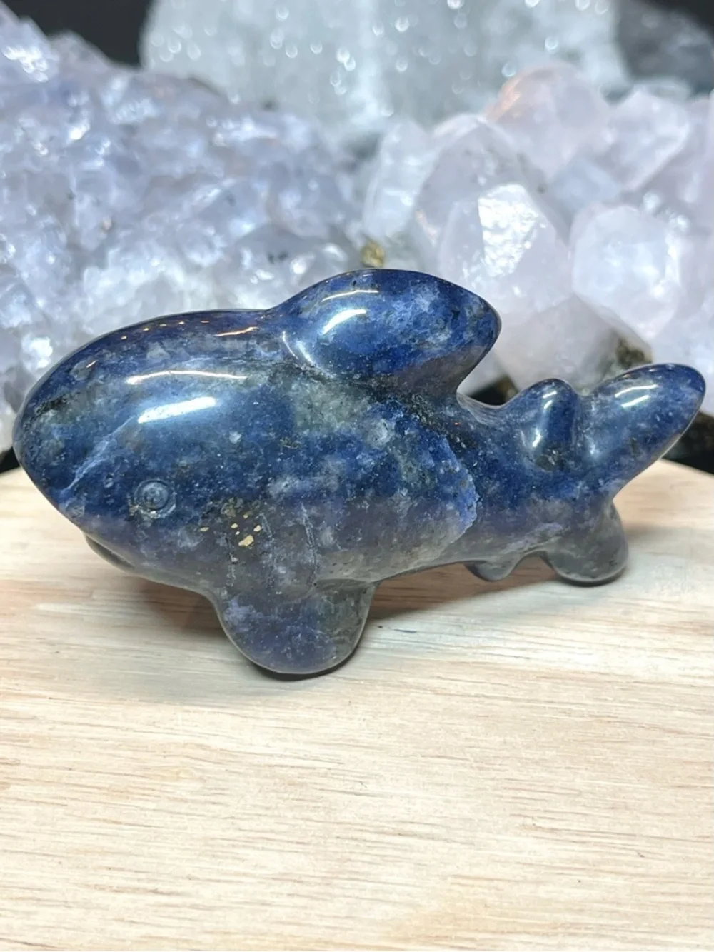 🌑Sodalite Polished Crystal Shark Animal Carving🌑
